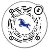 抖音